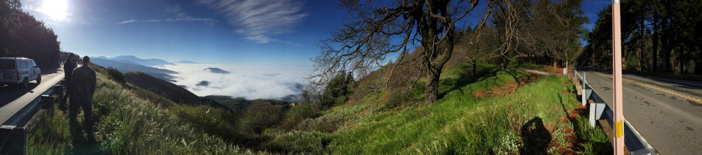 View from the ride down the mountain back to LAX