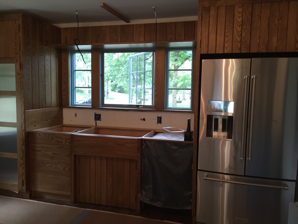 Pantry and fridge area