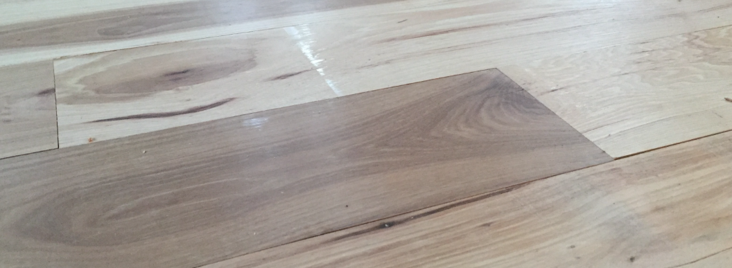 Hickory - closeup